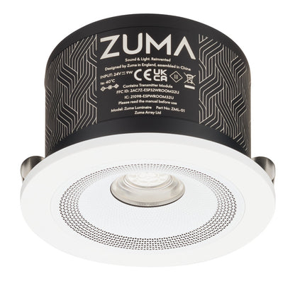 Ceiling Light, with Simplicity Round Bezel and PSU, Zuma Luminaire