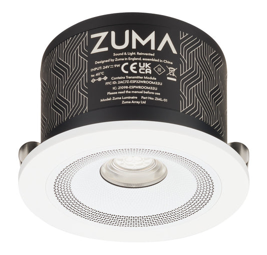 Ceiling Light, with Simplicity Round Bezel and PSU, Zuma Luminaire